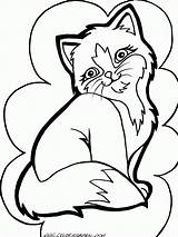 Kitten Coloring Pages Cat Persian Kittens Kittten Thecoloringbarn sketch template