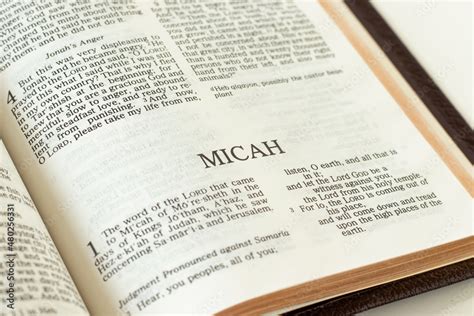 Micah Open Holy Bible Book Close Up Old Testament Scripture Prophecy