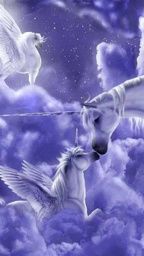 pegasus purple background art unicorn pictures unicorn  fairies