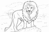 Coloring Lion Pages Wardrobe Mountain Printable Getdrawings Getcolorings sketch template