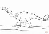 Jurassic Apatosaurus Colorare Apatosaurio Apatosauro Euoplocephalus Disegni Rhamphorhynchus Pterosaurs sketch template