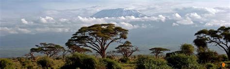 kenya national parks teamwise africa travel