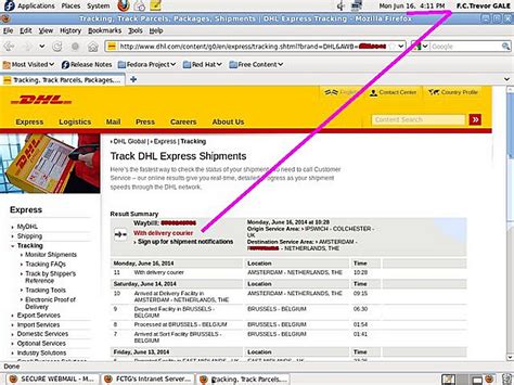 dhl express netherlands service performance