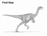 Gallimimus Runing sketch template