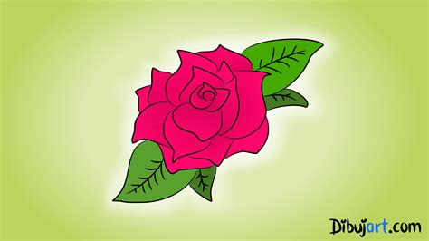 imagenes de rosas  dibujar  color descubre nuestra selecci