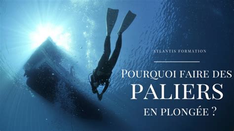 pourquoi faire des paliers en plongee breves atlantis formation