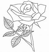 Mewarnai Bunga Mawar Coloriages Imprimer Putih Sketsa sketch template