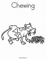 Coloring Cow Chewing Grass Worksheet Eats Built California Usa Favorites Login Add Twistynoodle Outline Noodle sketch template