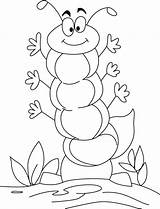 Chenille Coloriage Coloriages Colorier sketch template