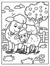 Kleurplaten Lente Schaap Kleurplaat Dieren Lammetje Schapen Lammetjes Kleuter Tekening Boerderij Tekeningen Printen Binatang Mewarnai Hewan Juf Schaf Voorjaar Coloriages sketch template