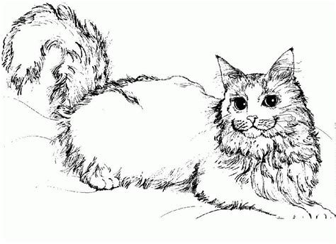 bengal cat realistic cat coloring pages  cats   connected