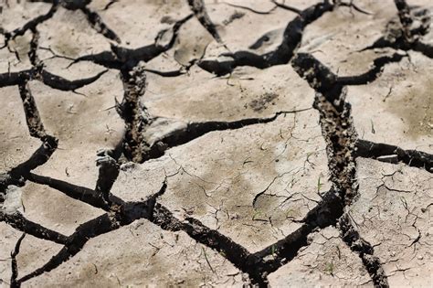dryness drought dried   photo  pixabay pixabay