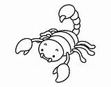 Scorpion Coloring Pages Raised Sting Colorear Color Getcolorings Insects Coloringcrew sketch template