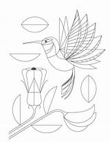 Kolibri Dieter sketch template