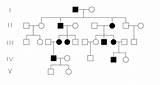 Blindness Linked Color Recessive Inheritance Trait Determine Pattern sketch template