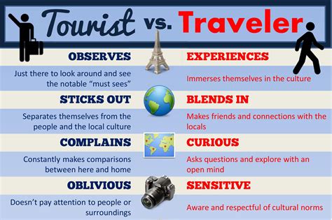 tourist  traveler endless turns