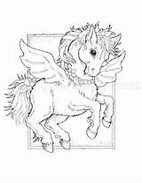 Coloring Pages Adult Horse Colouring Sheets Bergsma Jody Drawings Books Wings Book Print Pegasus Horses Colorful Adults Kids Fantasy Unicorn sketch template