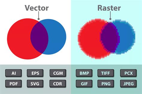 graphic file format   vector  raster images