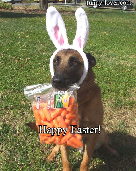 Happy Easter Funny Lover