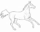 Horse Teke Lineart Akhal Coloring Pages Drawings Google Deviantart Realistic Search Artwork Paint Horses Color Coloringbay Favourites Animals Add sketch template