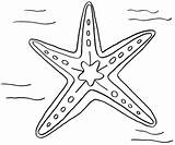 Starfish Coloring Star Pages Drawing Kids Sea Fish Color Line Printable Print Drawings Ocean Getdrawings Designlooter Coloringpages 95kb 1200 Site sketch template