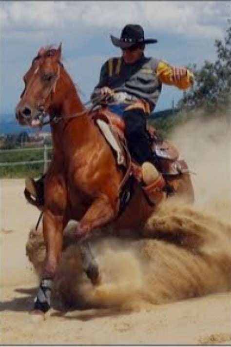 western horse riding cowgirl  horse cowboy  bull riding cowboy  cowgirl cowboy baby