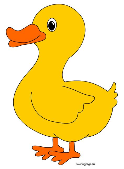 duck template preschool clipart