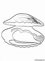 Clam Coloring Pages Pearl Shell Drawing Getcolorings Getdrawings Color sketch template