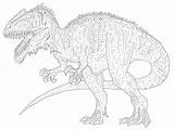 Giganotosaurus Omalovánky Jurassic sketch template