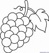 Coloring Grape Clipart Webstockreview Archives Clip sketch template