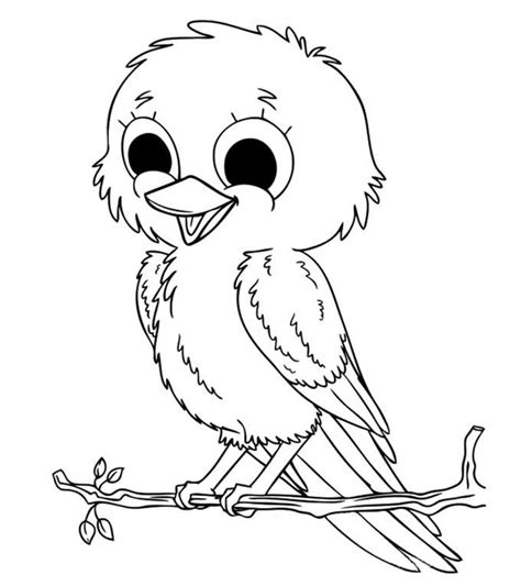 top   printable bird coloring pages