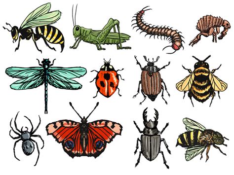 painted insect vector material design  freeiconsdownload  deviantart