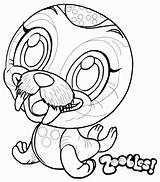 Zoobles Coloring Pages sketch template