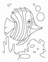Coloring Water Pages Fish Drawing Animals Kids Just Add Flutter H2o Colouring Color Cycle Printable Underwater Monet Sheets Plants Clipart sketch template