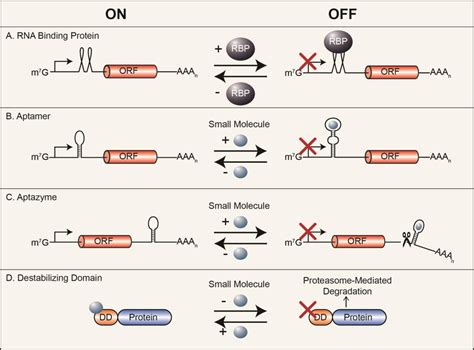devices for post transcriptional gene regulation and their modes of