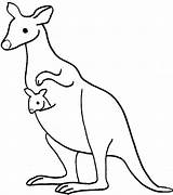 Kangaroo Kangourou Animaux Clip Coloriages sketch template