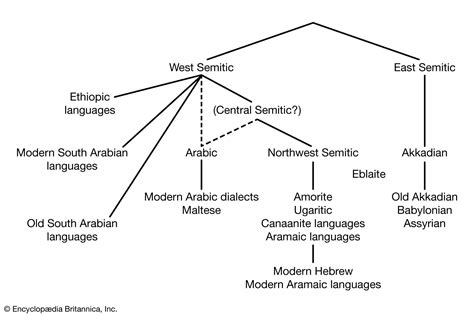 semitic languages afro asiatic semitic semitic hamitic britannica