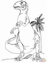Coloring Allosaurus Pages Dinosaur Jurassic Dinosaurier Printable Color Supercoloring Preschool Super Malvorlagen Rex Disney Dot Silhouettes Drawing Posted Puzzle Choose sketch template