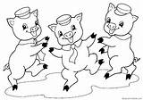 Cerditos Pig Porquinhos Imprimir Bailando Drie Cochon Varkies Disney Coloriage Chanchitos Puppet Colorir Cuentos Goldilocks Purcelusi Colorat Cei Dessin Cuento sketch template