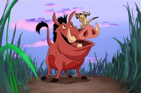 beautiful picture  timon  pumbaa desi comments