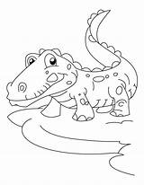 Alligator Crocodile Krokodil Joyful Croc Coloringhome sketch template