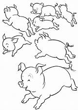 Pigs Tulamama sketch template