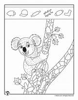 Koala Hidden Worksheets Activities Printable Woojr Kids Objects Pages Crafts Animals sketch template