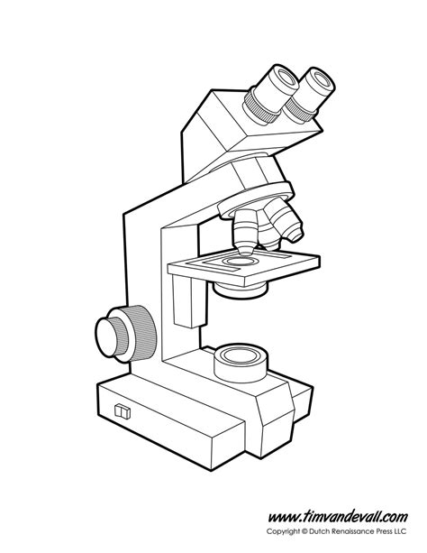 microscope diagram labeled unlabeled  blank parts   microscope