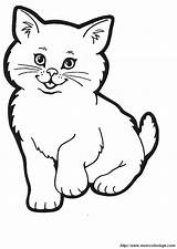Gatto Cats Colorear Kitty Katzen Sheet Gatito Colouring Posto Cambiare Potete sketch template