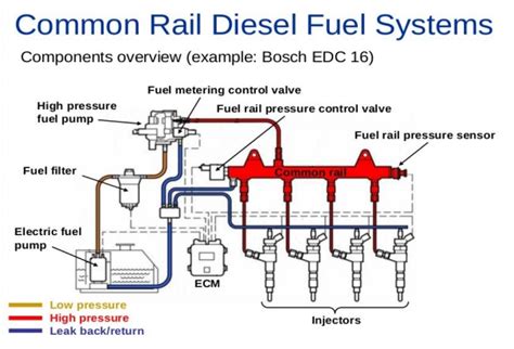 components   diesel fuel system automotive trend
