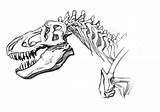 Rex Dinosaur Skeleton Drawing Getdrawings Tyrannosaurus sketch template