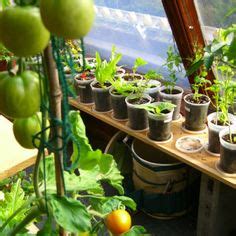 indoor herb veg gardens ideas indoor vegetable gardening indoor