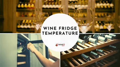 correct wine fridge temperature  reds whites