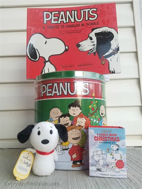 Peanuts Holiday Giveaway Everyday Shortcuts